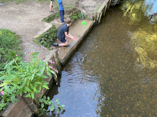 Dinton Pastures Country Park, family day out Berkshire, days out Reading, days out Wokingham