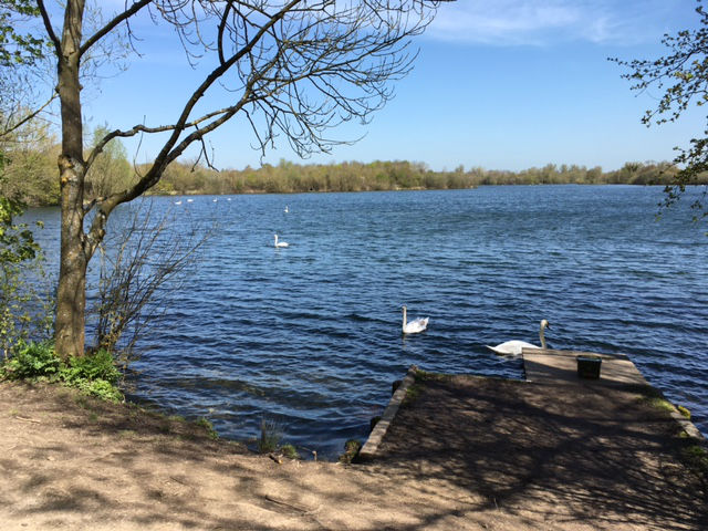 Dinton Pastures - Red Kite Days