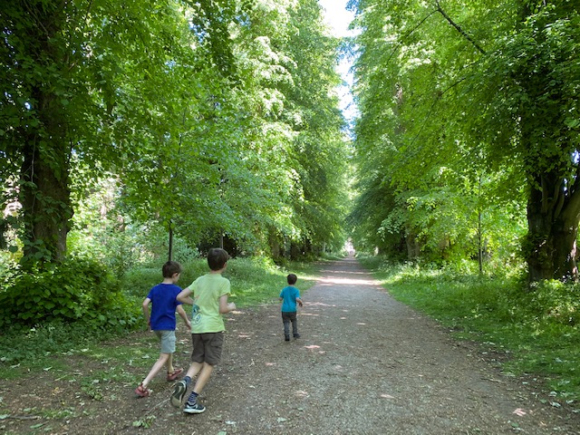 wychwood wild garden, diggers wood, things to do in shipton under wychwood, free walks with kids