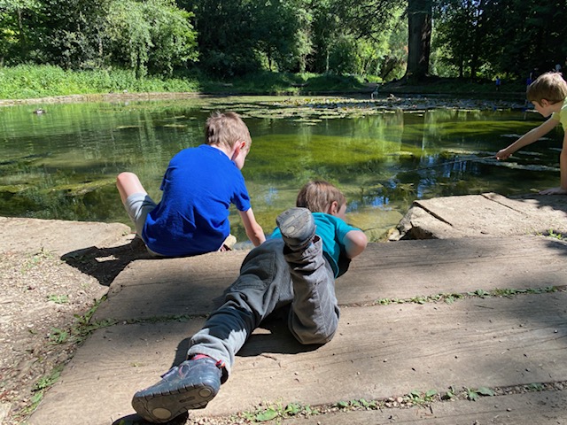 wychwood wild garden, diggers wood, things to do in shipton under wychwood, free walks with kids