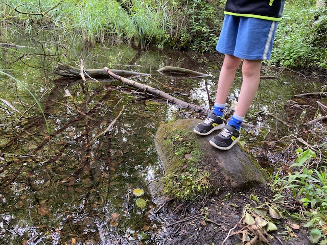 Dry Sandford Pit, Dry Sandford Pit nature reserve, Oxfordshire nature reserves, Dry Sandford Nature reserve