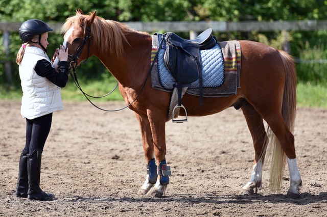 horse-riding-lessons-for-kids-red-kite-days