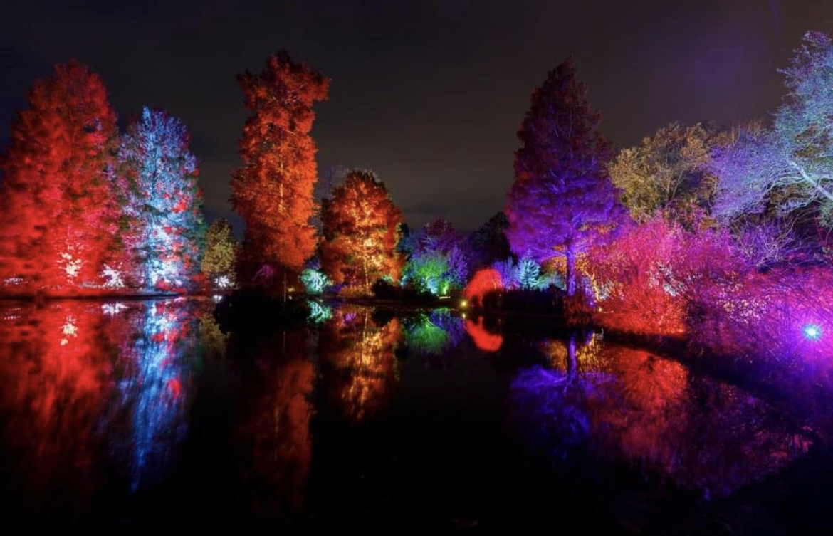 Christmas Light Trail Wisley Surrey 2022 Red Kite Days