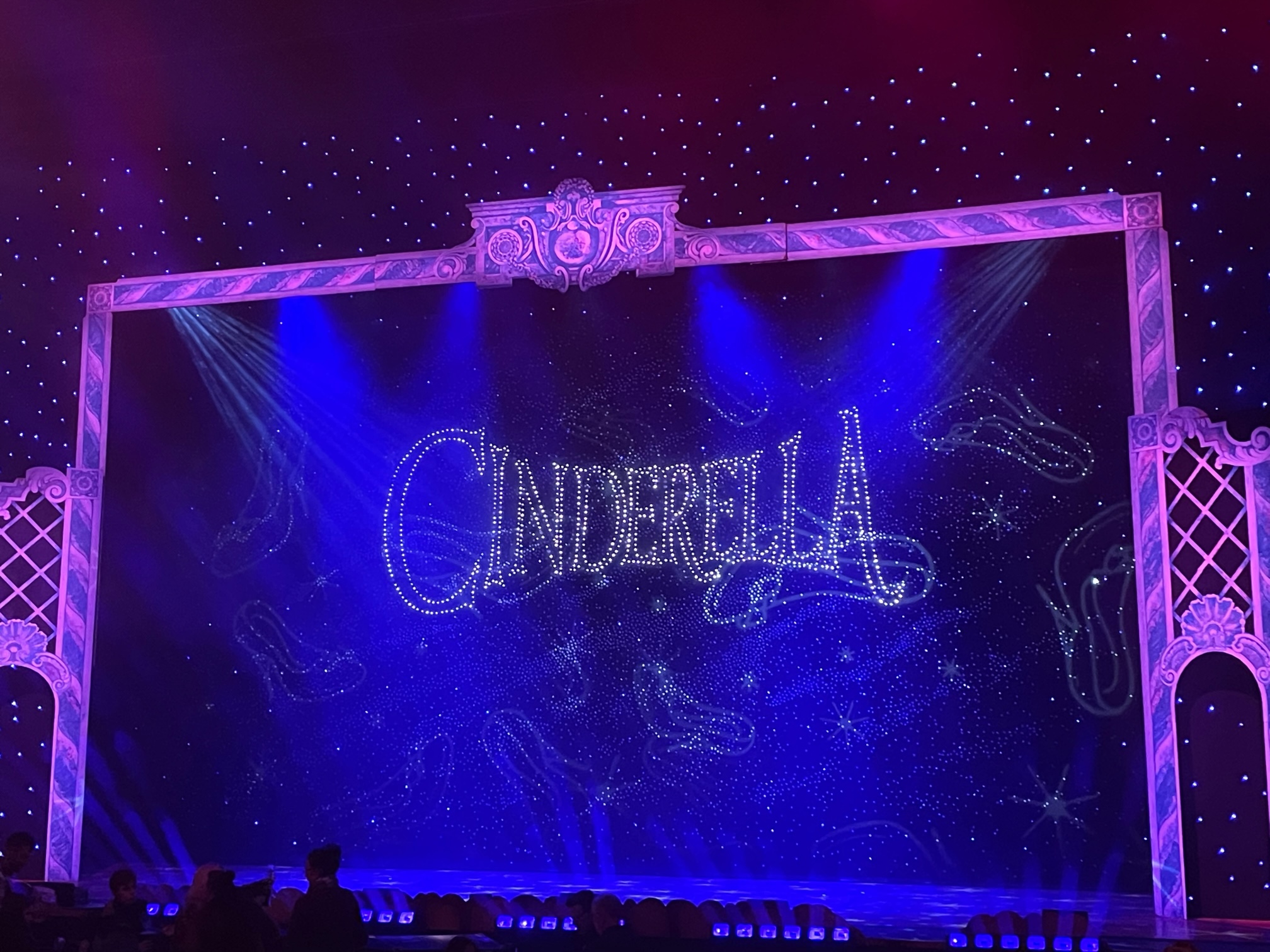 new-victoria-theatre-woking-panto-2022-red-kite-days